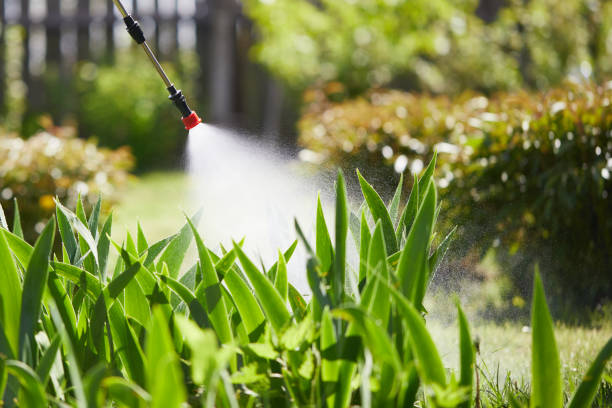 24/7 Emergency Ant Control experts in Columbus, WI